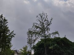 -南关石牌坊古镇