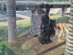 -西霞口神雕山野生动物世界