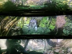 -苏州青少年科技馆