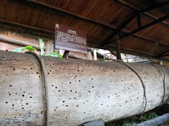 -海南槟榔谷黎苗文化旅游区