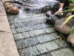 -华南国家植物园-售票处