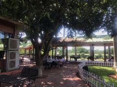 -侯臣咖啡文化村