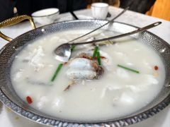 -陈生记黑鱼馆·20年活鱼现杀(宁波鼓楼店)