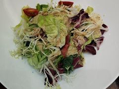 -鲁宴·鲁煨黄河生态大鲤鱼(月坛店)