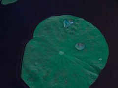 -丁香湖公园