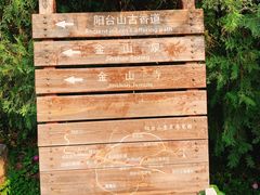 -阳台山自然风景区