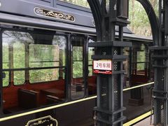 -合肥滨湖国家森林公园