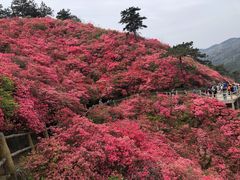 -木兰云雾山