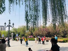 -西安青龙寺遗址景区