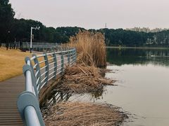 -美兰湖景区