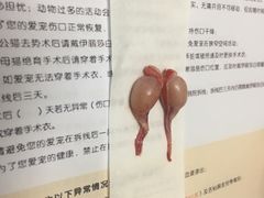 -纳吉亚猫专科动物医院博雅分院