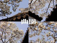 -留园