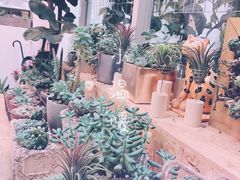 -拾壹cafe·工作室