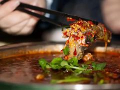 -胖大姐黄辣丁鱼庄(新津店)