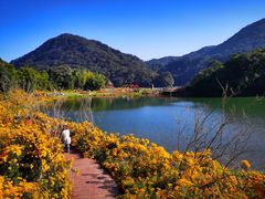 -广州市石门国家森林公园
