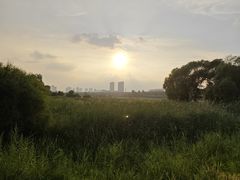 -哈尔滨大剧院
