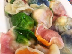五彩饺子-宝源饺子(麦子店街店)