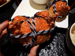 -老苏州芳和园茶酒楼  传统苏帮菜(观前店)