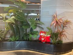 -湊湊火锅·茶憩(皇姑万象汇店)