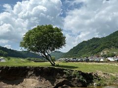-关山草原