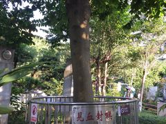 -广州神农草堂中医药博物馆