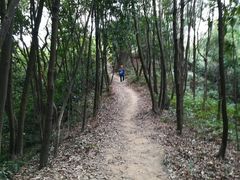-黄埔油麻山森林公园