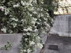 -广州市紫泥堂文化创意园景区