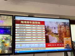 -上海海湾国家森林公园