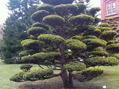 android_upload_pic-北海道厅旧本厅舍(旧本庁舎)