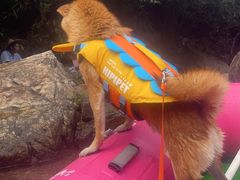 -安吉龙王山峡谷漂流