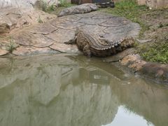 -武汉动物园