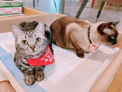 -有何Book(六堰体育馆店)