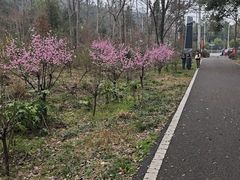 -青龙山国家森林公园