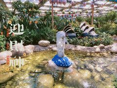 -南宫五洲植物乐园