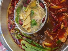 -金鼎雪山牦牛杂火锅(理县总店)