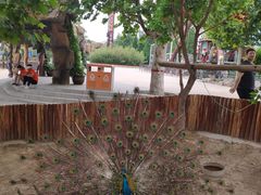 -辛玛王国游乐园