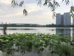 -望海·帆船主题咖啡厅•品茗下午茶(石湖景区店)