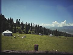 -新疆那拉提国家旅游度假区