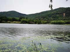 -长广溪湿地公园