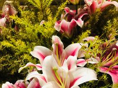 -炳胜公馆(珠江新城店)