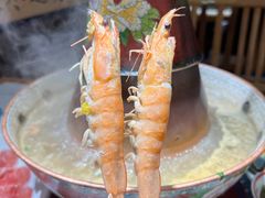 -曲氏老北京铜锅涮肉•火锅(不老街店)