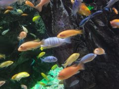 -太平洋海底世界