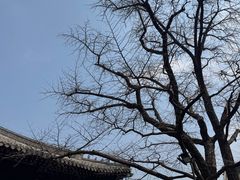 -红螺寺