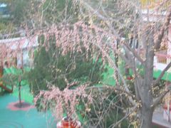 -北京林业大学幼儿园