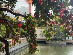 -番禺宾馆丽苑厅