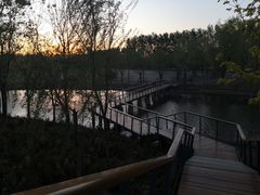 -东郊湿地公园