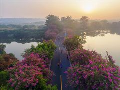 -松山湖南湖湾露营营地