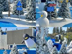 -汕头中海黄金海岸水上乐园