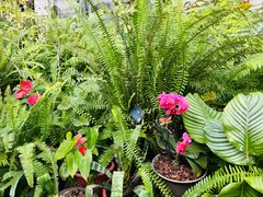 -国家植物园南园