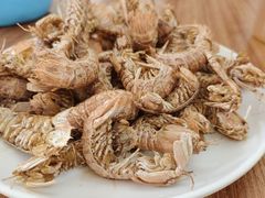 -南沙十九涌渔人码头-南门